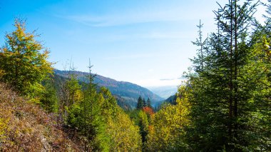 Güneşli bir günde güzel bir doğa manzarası. Bulutlar uzak tepenin üstünde. Karpat Dağları. Ukrayna. Avrupa.