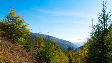 Güneşli bir günde güzel bir doğa manzarası. Bulutlar uzak tepenin üstünde. Karpat Dağları. Ukrayna. Avrupa.