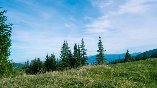 Güneşli bir günde güzel bir doğa manzarası. Bulutlar uzak tepenin üstünde. Karpat Dağları. Ukrayna. Avrupa.