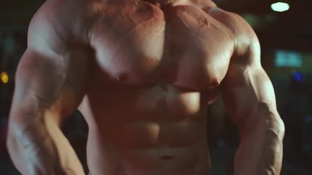 Atractivo culturista masculino con perfecto torso posando cuerpo muscular en el gimnasio — Vídeos de Stock