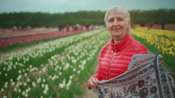 Tulipán fesztivál vagy idősebb nő sétál a pályán virágzó virágok szabadban — Stock videók