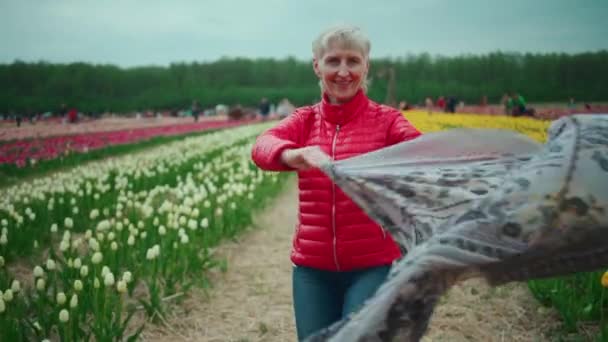 Tulip festival or senior female walking on field with blooming flowers outdoor — Stock Video