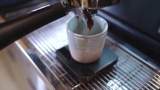 Barista bereitet heißen Espressokaffee in Tasse und mit professioneller Maschine zu — Stockvideo