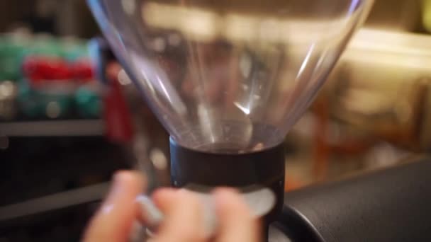 Barista handfyllning kaffebryggare med bönor av arabica eller robusta — Stockvideo
