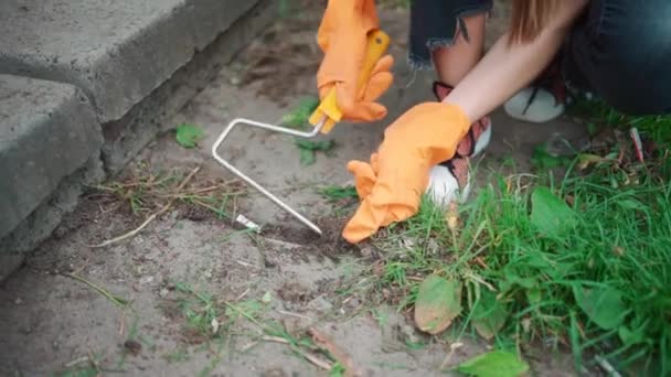 Nettoyage bénévole du terrain dans le parc municipal — Video