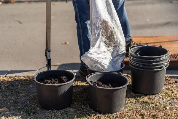Man pour black soil in garden bucket for planting new tree or gardening outdoor — Stok fotoğraf