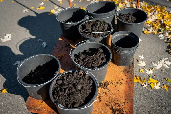 Closeup of garden bucket with fertile black soil for planting trees outdoor — Stok fotoğraf