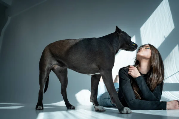 pretty ukraine woman playing with dog at house