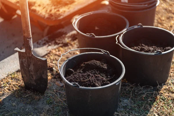 afforestation or closeup of spade and bucket with ground for gardening outdoor