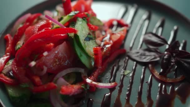 Ensalada Vegetariana Con Pimiento Tomate Pepino Cebolla Roja Eneldo Aderezo — Vídeos de Stock