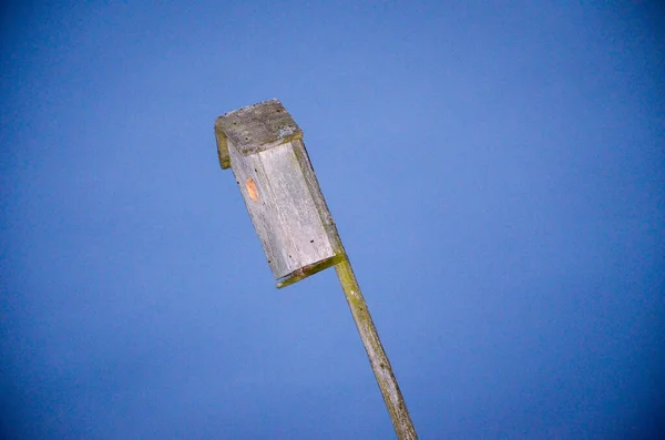 空に対する古い鳥の家 — ストック写真