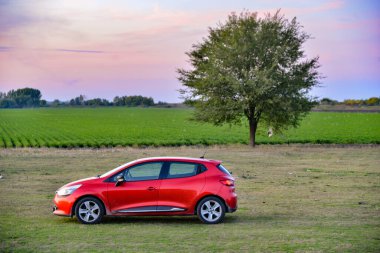 Kırmızılı Reno kliosu