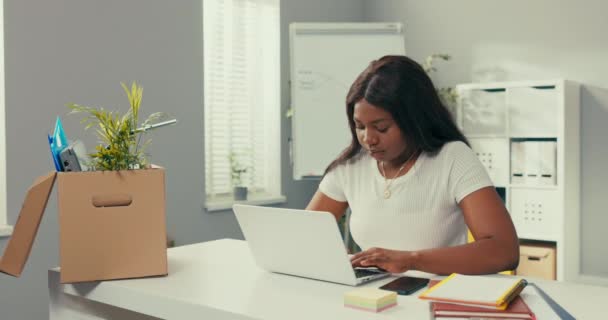 O empregado ambicioso da empresa senta-se no escritório na frente do computador, a menina trabalha no portátil, olha na conta bancária, é pago com bônus, feliz, sorrindo, orgulhoso. — Vídeo de Stock