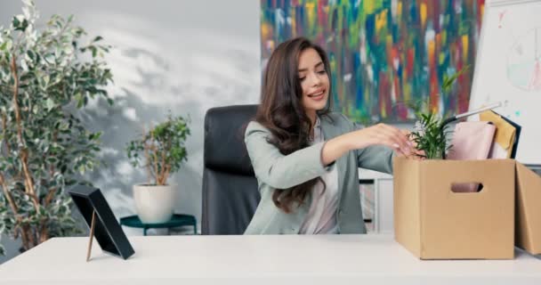 Nieuwe werknemer in het bedrijf, neemt plaats aan het bureau, een mooie secretaresse pakt kartonnen doos met apparatuur uit, neemt accessoires op het aanrecht, zet frames, planten, open computer — Stockvideo