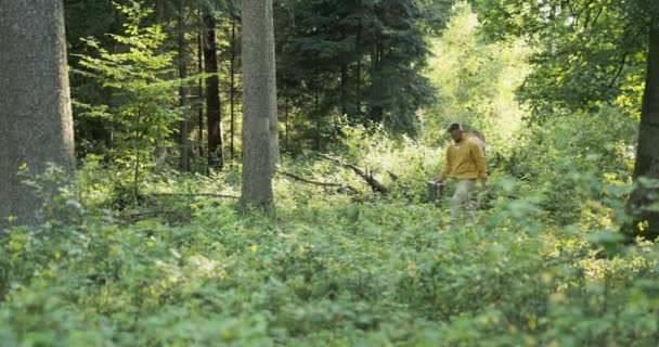 Un giovane che indossa una giacca gialla con un cappello che ha una rete di sicurezza si sta dirigendo attraverso il bosco verso un apiario con orticaria un apicoltore sta tenendo accessori — Video Stock