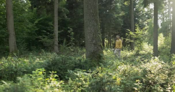 Imker steuert Bienenstöcke mit Utensilien in der Hand an, stapft durch den Wald zum Bienenstand, macht sich an die Arbeit — Stockvideo