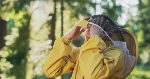 A beekeeper gets ready for work in the forest at the apiary with bees, hives, he puts on a hat with a protective net, a mosquito net on his head to protect him from insect bites — Stock Video