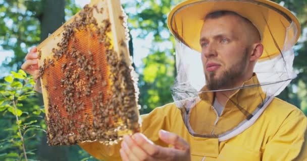 顔に蚊の網で保護された保護服によって保護された養蜂家は、巣の世話をし、ミツバチが蜂蜜を作りながらフレーム上で働くのを見る — ストック動画