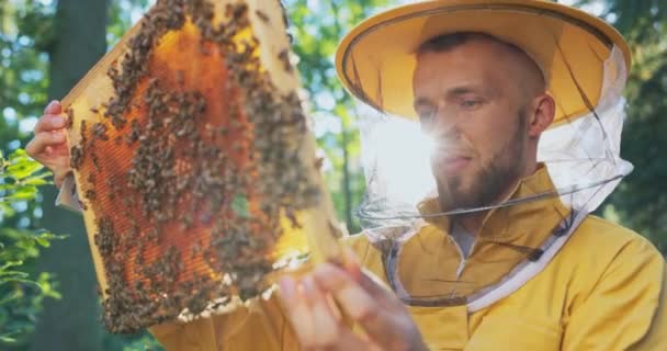 Ein lächelnder Imker, geschützt durch einen Schutzanzug mit Moskitonetz im Gesicht, kümmert sich um die Bienenstöcke, beobachtet die Bienen bei der Arbeit am Gestell, während er Honig macht — Stockvideo