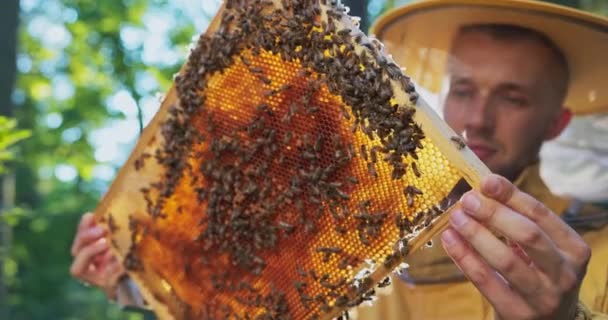 Un apicultor sonriendo, protegido por un traje protector con una mosquitera en la cara, cuida de las colmenas, observa a las abejas trabajar en el marco mientras hace miel — Vídeo de stock