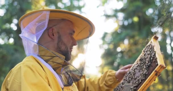 Ein lächelnder Imker, geschützt durch einen Schutzanzug mit Moskitonetz im Gesicht, kümmert sich um die Bienenstöcke, beobachtet die Bienen bei der Arbeit am Gestell, während er Honig macht — Stockvideo