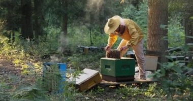 Sabah şafak söker, ormanda güneş doğar, sarı koruyucu giysili adam arılarla ilgilenir, ballı bir çerçeve çıkarır, böcekleri sakinleştirmek için beyaz duman uçar.