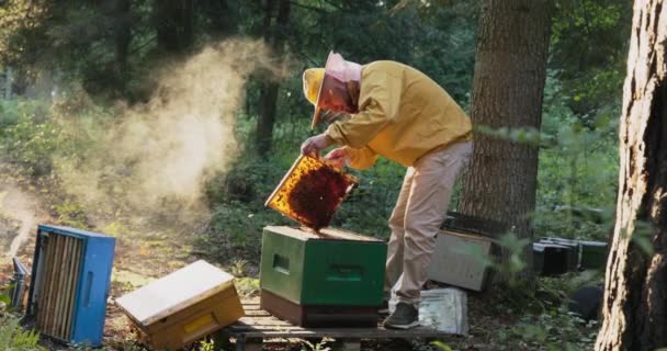 黎明时分，太阳升起在森林里，身穿黄色防护服的男人在照料蜜蜂，他拿出一个用蜡做蜂蜜的框架，白烟飞驰而过以安抚昆虫 — 图库视频影像