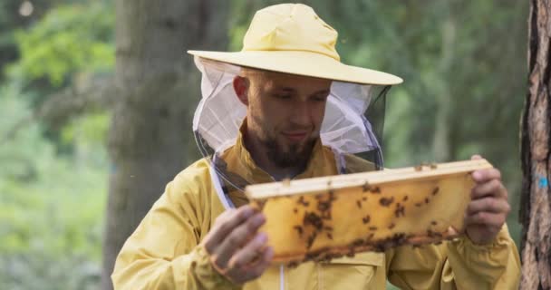 Um apicultor sorrindo, protegido por um terno protetor com um mosquiteiro em seu rosto, cuida das colmeias, observa as abelhas trabalhando no quadro enquanto faz mel — Vídeo de Stock