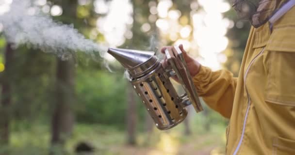 En biodlare klädd i en skyddsdräkt med ett myggnät över huvudet sprutar vit rök över bikupan med ett speciellt tillbehör, en bikupa dammsugare för att desinficera insekterna lugna ner dem — Stockvideo