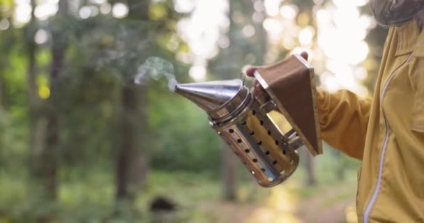 A beekeeper dressed in a protective suit with a mosquito net over his head sprays white smoke over the beehive with a special accessory, an apiary vacuum cleaner to fumigate the insects calm them down — Stock Video