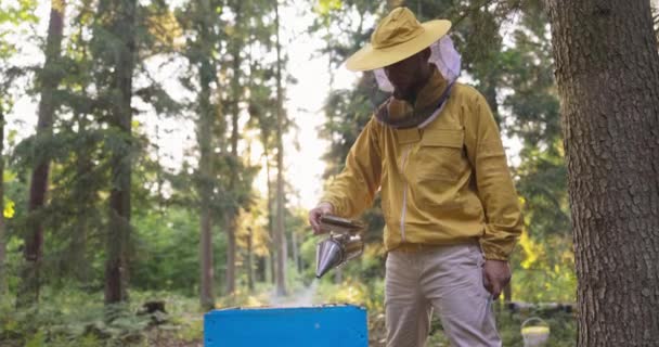 Пчеловод, одетый в защитный костюм с сеткой от комаров на голове, распыляет белый дым на улей пчелами со специальным аксессуаром, пылесосом для пасеки, работающими в лесу — стоковое видео