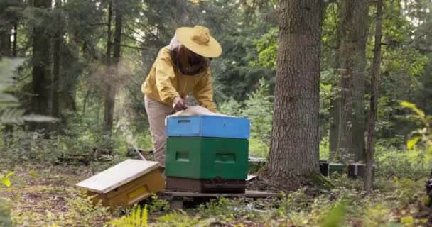 Молодой трудолюбивый человек, занимающийся пчеловодством, собирает элементы пасеки и улья в одно целое. Он одет в комбинезон и защитную сетку от укусов. — стоковое видео