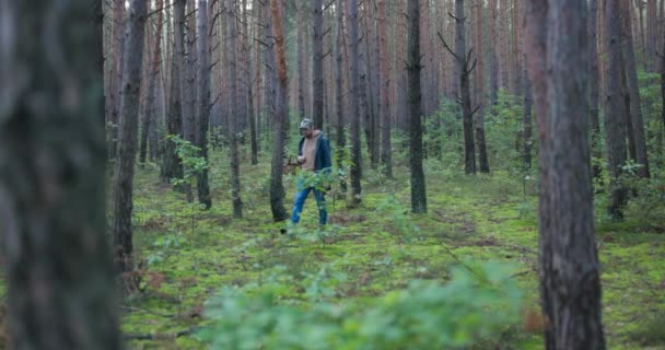 Um jovem fascinado com o cogumelo no tempo livre caminha pela floresta com uma cesta na mão em busca de espécies favoritas de cogumelos, procurando cuidadosamente por boletos, cantarelos — Vídeo de Stock