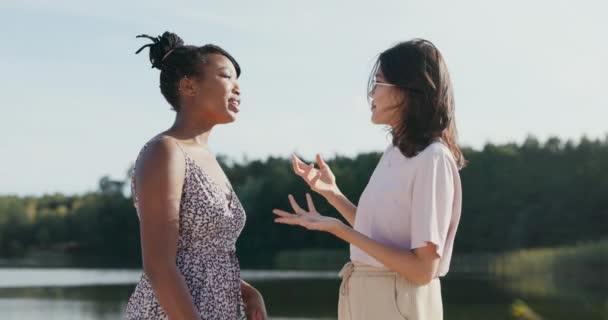 Belos amigos se encontram em uma tarde de verão no lago, eles conversam, contam histórias uns aos outros, pedem opiniões, se dão muito bem, abraçam, abraçam com felicidade — Vídeo de Stock