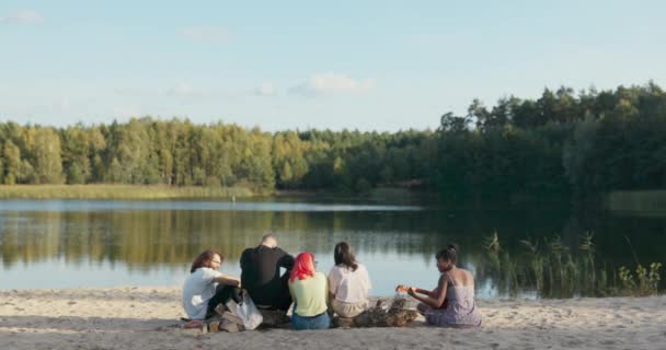 Fotografiert von einer Gruppe von Freunden, die auf einem Baumstamm am Strand am Ufer eines Sees sitzen, eine Frau spielt Gitarre, der Rest hört zu, entspannt sich, ein gemeinsamer Urlaubstag — Stockvideo