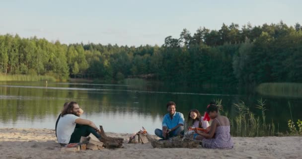 Grupa przyjaciół spotyka się na plaży nad jeziorem, siedzą na piasku przy płonącym drewnie, ognisku, kobieta gra na gitarze, stukają się butelkami po piwie na zdrowie — Wideo stockowe