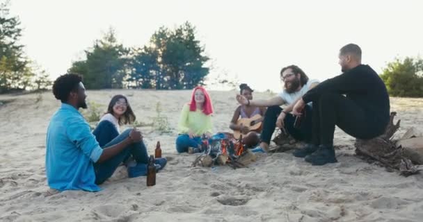 Des amis de différents pays erasmus sont venus étudier ensemble ils passent leur temps libre à étudier au feu de joie commun sur la plage au bord du lac, boire de la bière, parler, chanter, plaisanter, s'amuser — Video