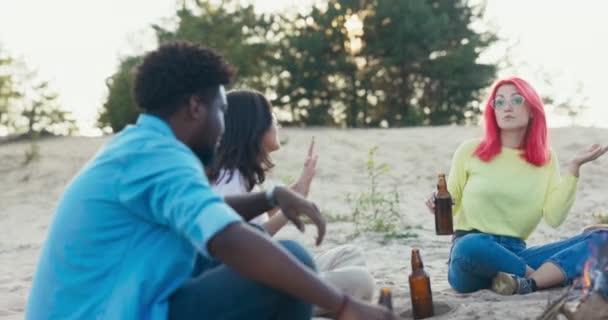 Freunde aus verschiedenen Ländern sind gekommen, um gemeinsam zu lernen, sie verbringen ihre Freizeit vom gemeinsamen Lagerfeuer am Strand am See, trinken Bier, reden, singen, scherzen, herumalbern. — Stockvideo