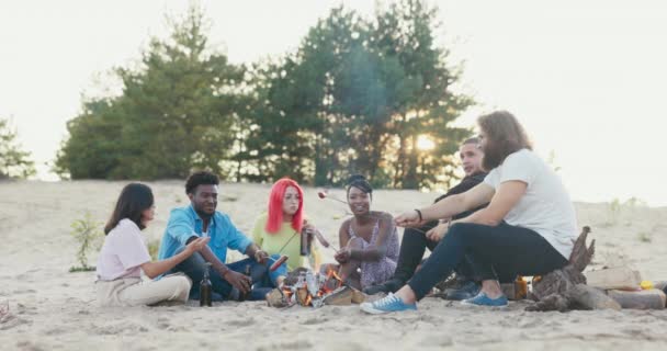 Bonfire en soirée d'été au soleil couchant sur une plage sauvage, amis assis sur une bûche, sable autour du bois brûlant, saucisses frites, guimauves, pain, boire de la bière, parler, se détendre — Video