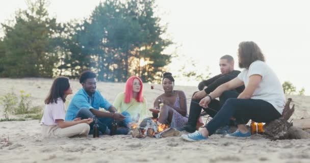 Bonfire en soirée d'été au soleil couchant sur une plage sauvage, amis assis sur une bûche, sable autour du bois brûlant, saucisses frites, guimauves, pain, boire de la bière, parler, se détendre — Video