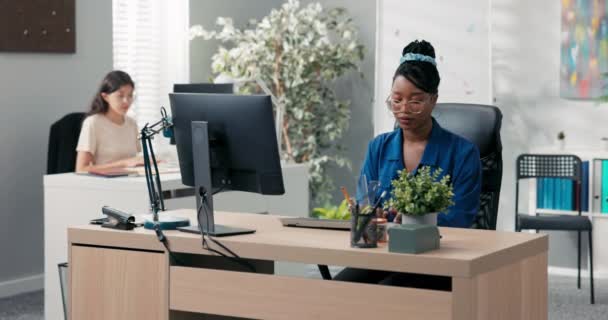 Reger Nachmittag im Büro, in der Buchhaltung, im Marketing, zwei elegante Frauen arbeiten vor den Computern der Firmen, erstellen Dokumente, planen Strategien, klicken mit den Fingern auf die Tastatur — Stockvideo