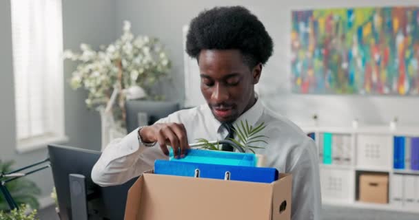 Bellissimi uomini in camicia bianca con capelli afro lascia il lavoro aziendale, esce dall'ufficio con le cose imballate in scatola, lascia l'azienda, lascia le responsabilità, va in pensione, lascia la stanza sociale, felice — Video Stock