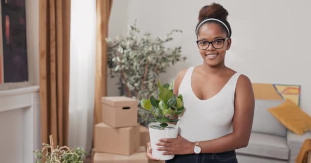 Souriante fille est debout au milieu de la salle de séjour dans une nouvelle maison de décoration appartement acheté loué après avoir déplacé le nettoyage dans ses mains tenant une plante dans un pot à placer sur le rebord de la fenêtre — Video