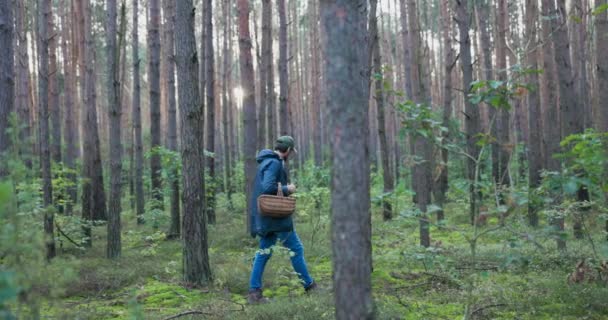 Mantar toplamaktan büyülenmiş genç bir adam boş zamanlarında en sevdiği mantar türünü aramak için ormanda yürür. Cesaret, mantar, mantar ve yer mantarlarını dikkatle arar. — Stok video