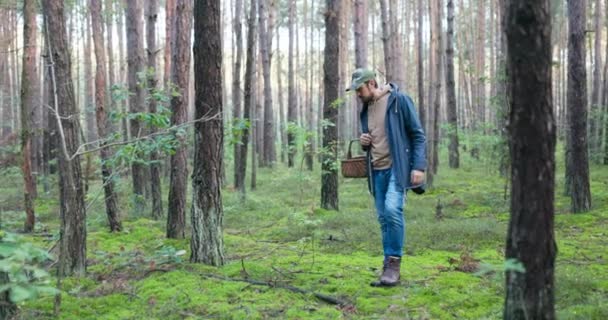 Έμπειρος άνθρωπος που ενδιαφέρονται για mushrooming ντυμένοι θερμά με καπάκι στο κεφάλι είναι το περπάτημα μέσα από το δάσος μεταξύ δέντρα μανιτάρι συλλέκτης ήρθε να συγκομιδή, ψάχνει για αθλητές προσεκτικά βήματα — Αρχείο Βίντεο