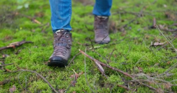 Mans pieds fermement sur le sol, bottes trappeur chaud, gars prend des mesures dans les bois, mousse, paillis, promenade aux champignons, passer du temps à l'extérieur, randonnée en forêt — Video