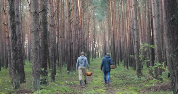 Bei einem Spaziergang durch einen klaren, grünen Wald voller Bäume überqueren zwei Männer warm angezogen die Wege auf der Suche nach Pilzen und halten Körbe mit gepflückten Steinpilzen in den Händen. — Stockvideo