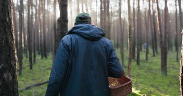 Shot from behind man dressed warmly with helmet on head walks through forest between trees, mushroom picker came to harvest, looking for boletes, chanterelles, butterflies, holding basket — Stock Video