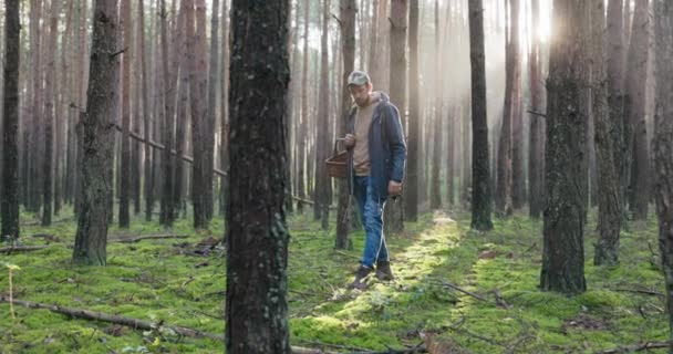 Ένας νεαρός άνδρας γοητευμένος από το mushrooming βόλτες μέσα στο δάσος στον ελεύθερο χρόνο του σε αναζήτηση των αγαπημένων του ειδών μανιταριών, ψάχνει προσεκτικά για αθλητές, chanterelles, τρούφες — Αρχείο Βίντεο