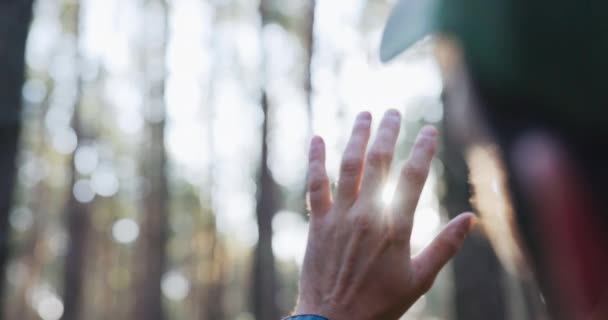 Egy kinyújtott kéz, kinyújtott ujjakkal, amin keresztül a felkelő nap és reggel napsugarai áttörnek, a természet, az erdő, a fák környezete. — Stock videók